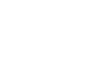 Smart Solidarity